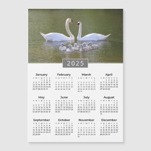 2025 Kalender Svan & Cygnet Magnet