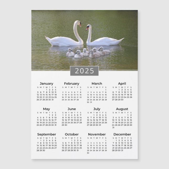 2025 Kalender Svan & Cygnet Magnet (Framsida)
