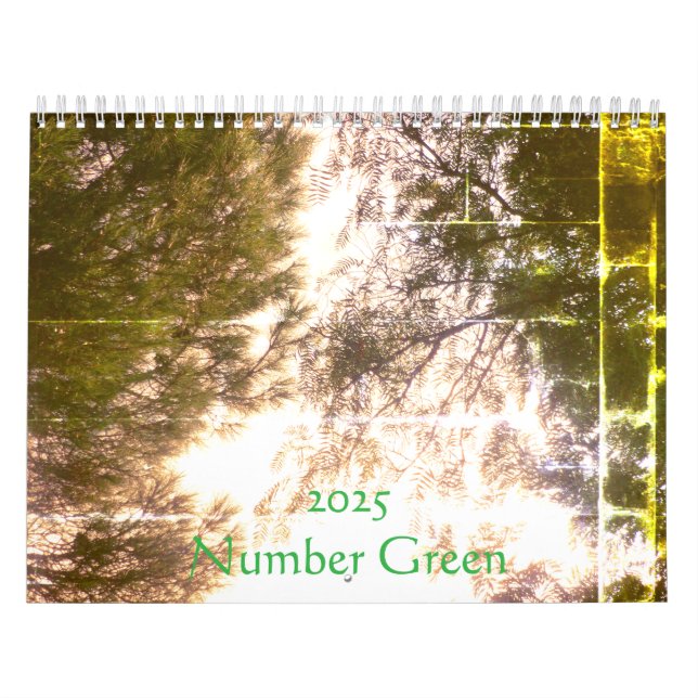 2025 Kalenderplaneringskonst och -design Kalender (Omslag)