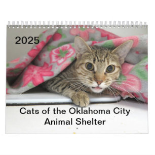 2025 Katter av Oklahoma City Animal Shelter Kalender