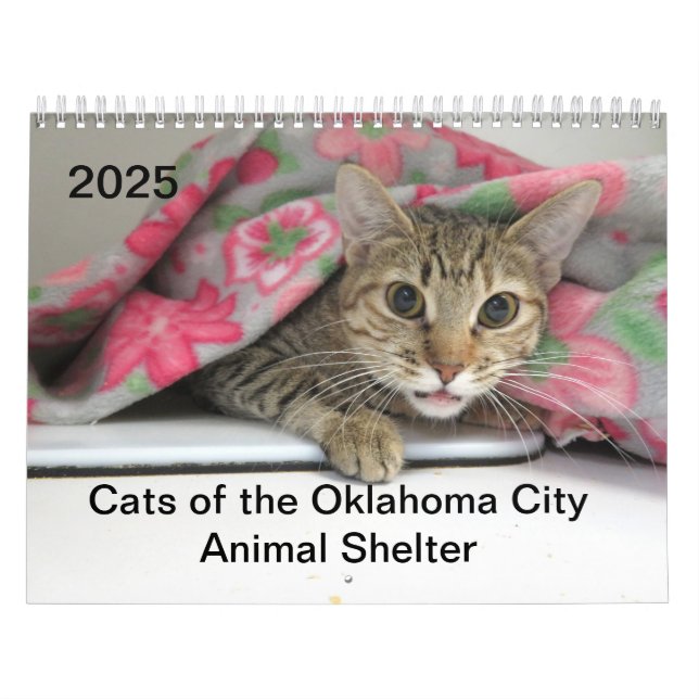2025 Katter av Oklahoma City Animal Shelter Kalender (Omslag)