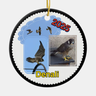 2025 Keramisk Cirkulär Ornament Denali