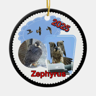 2025 Keramisk Cirkulär Ornament Zephyrus