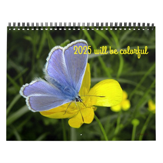 2025 kommer att bli en färgrik kalender (Omslag)