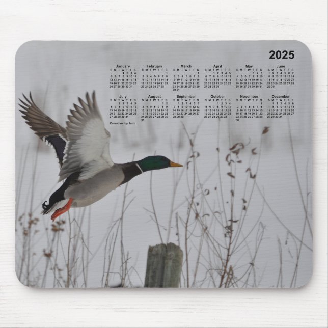 2025 Mallard i flygkalender av Janz Mouse Pad Musmatta (Framsidan)