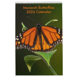 2025 Monarch Butterflies One Page Calendar Kalender