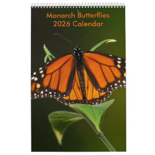 2025 Monarch Butterflies One Page Calendar Kalender