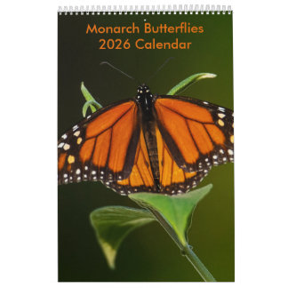 2025 Monarch Butterflies One Page Calendar Kalender