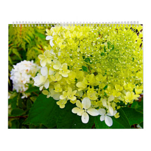 2025 My Rubio Garden Elegant Hydrangeas Kalender