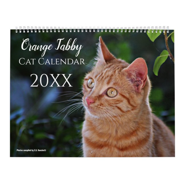 2025-Orangen Tabby katt och Kittens kalender Cute (Omslag)