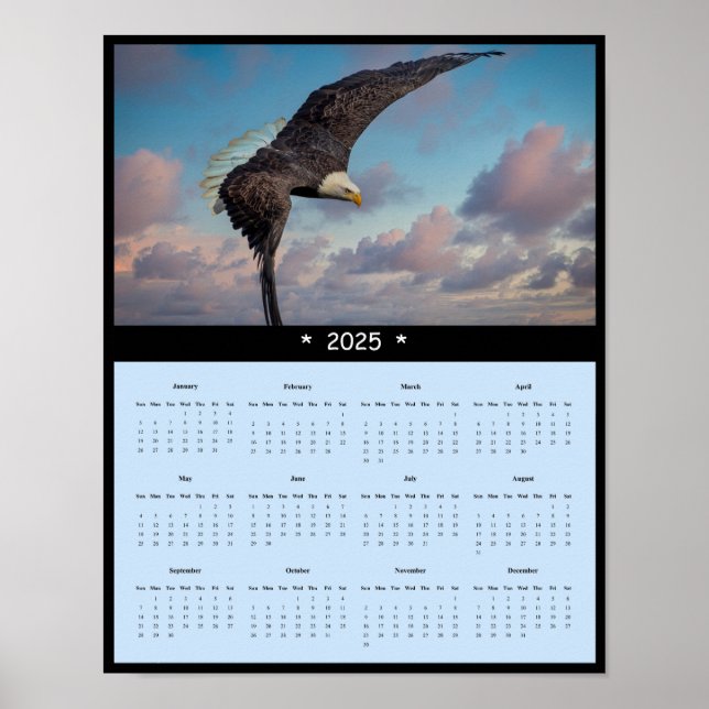 2025 Örn-kalendern Poster (Framsidan)