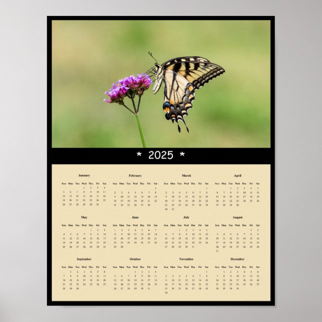 2025 Östra Tiger Swallowtail Butterfly Calendar Poster (Framsidan)