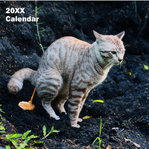 2025 - Personlig för den finstilta Cats Pooping Ca Kalender