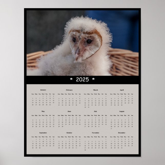 2025 Poster av den omogna Barn Uggla-kalendern (Framsidan)