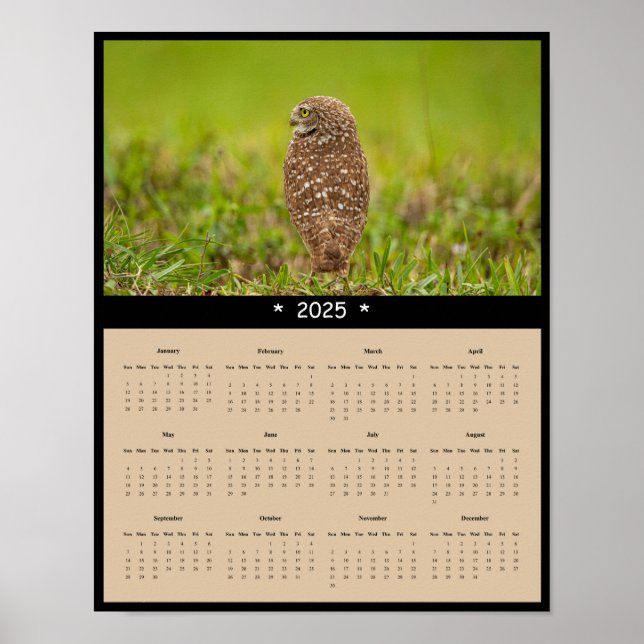 2025 Poster av kalender för nedgrävning av Uggla (Framsidan)