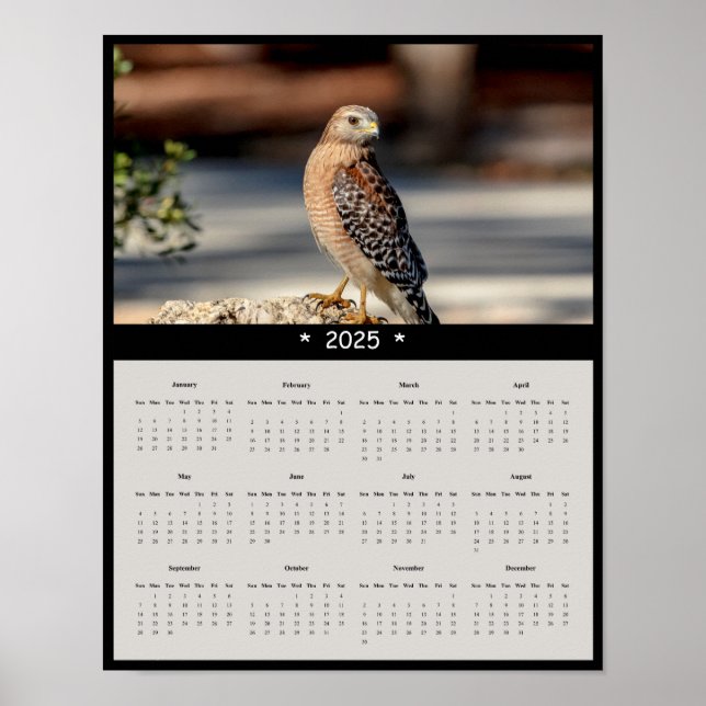 2025 Poster av Red Shouled Wall Calendar (Framsidan)