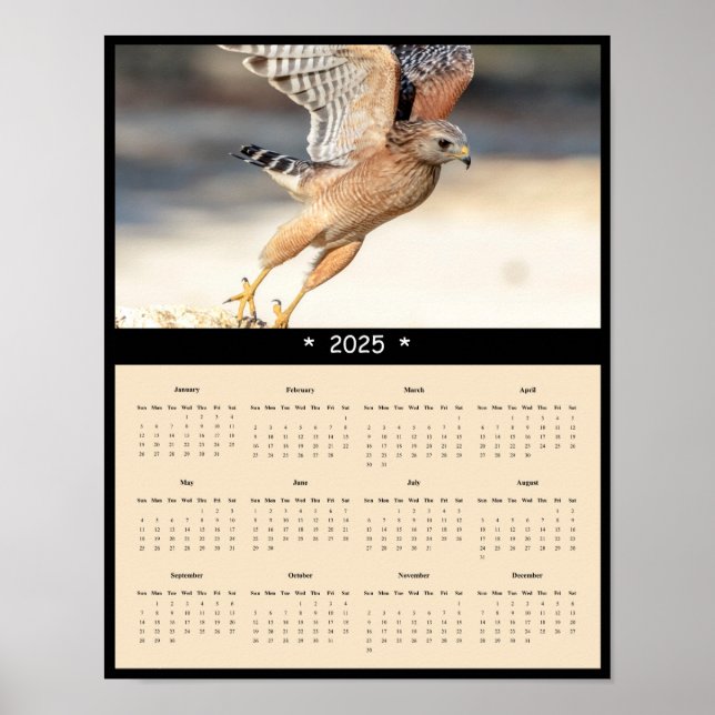2025 Poster av Red Shouled Wall Calendar (Framsidan)