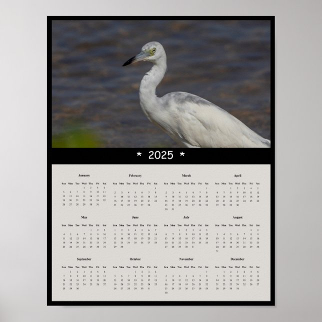 2025 Poster i den omogna växtväggskalendern (Framsidan)