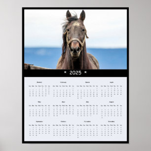 2025 Poster i Horse Wall Calendar
