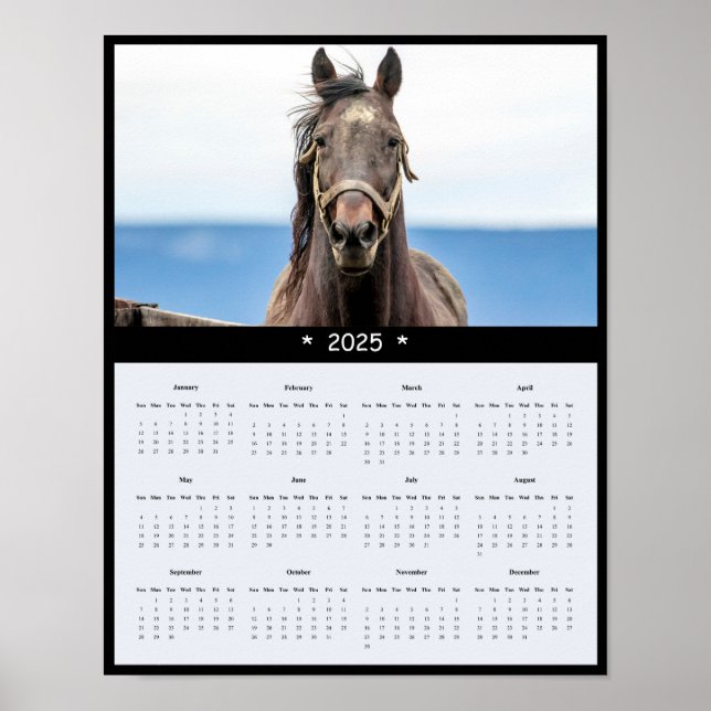 2025 Poster i Horse Wall Calendar (Framsidan)