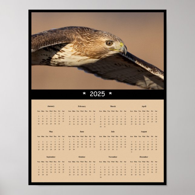 2025 Poster Red Tails Hawk Wall Calendar (Framsidan)