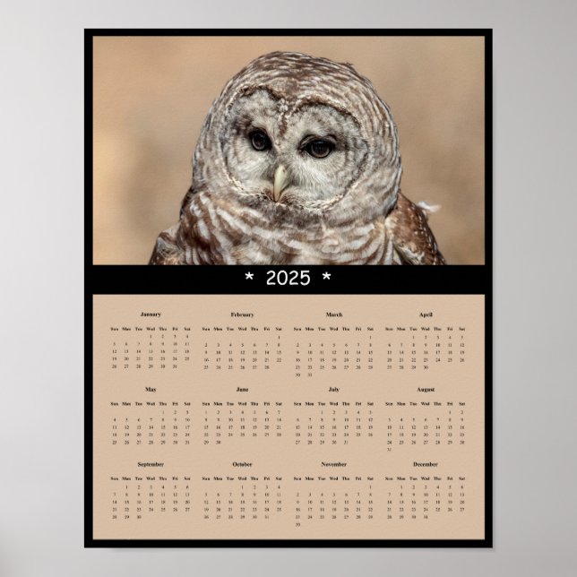 2025 Poster Uggla-kalender (Framsidan)