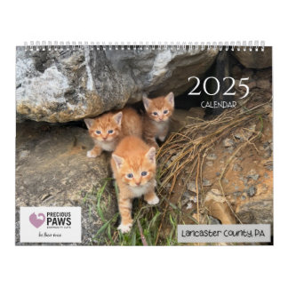 2025 Precious Paws Kalender