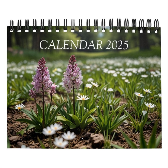 2025 Scenisk Väggkalender Kalender (Omslag)