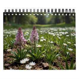 2025: Scenmurar Kalender