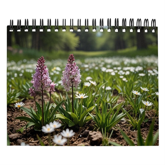 2025: Scenmurar Kalender (Omslag)