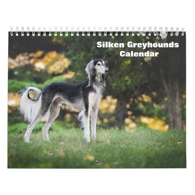 2025 Silken Greyhounds Puppies Kalender (Omslag)
