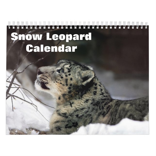 2025 Snö leopard Kalender (Omslag)