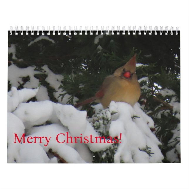 2025 Sunset Calendar Kalender (Omslag)