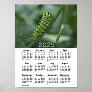 2025 Svälj Svan Caterpelarkalender från Janz Poster
