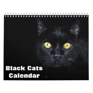 2025 Svarta katter Fotokalender Kalender