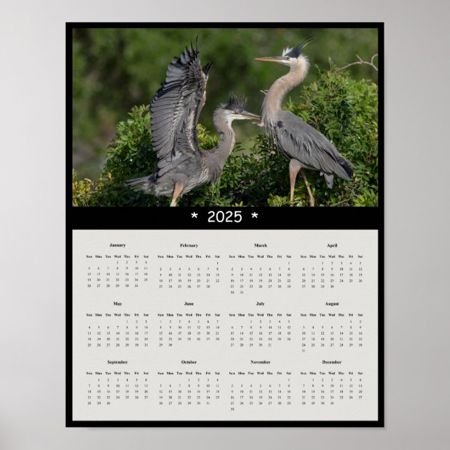 2025 Underbar Blue Heron Wall Calendar Poster (Framsidan)