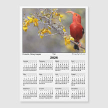 2026 5x7 Magnet Calendar Iiwi HawaiianHoneycreeper