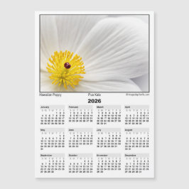 2026 5x7 Magnet Kalender Pua Kala Hawaiiansk Vallm