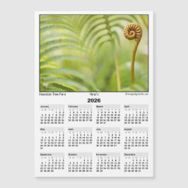 2026 5x7 Magnetkalender Amau Hawaiianskt Ormbunksb