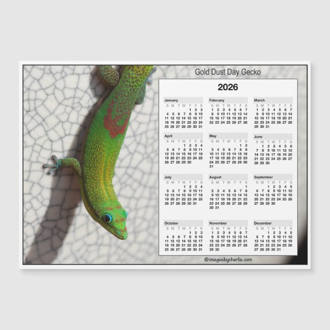 2026 5x7 Magnetkalender Gold Dust Day Gecko (Framsida)
