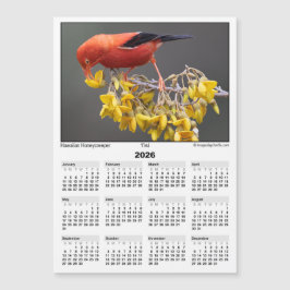 2026 5x7 Magnetkalender Iiwi Hawaiiansk Fågel