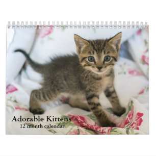 2026 Adsible Kittens Tolv månader katt Kalender