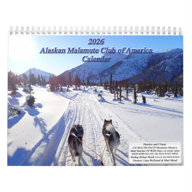 2026 Alaskan Malamute Club of America Calendar Kalender (Omslag)