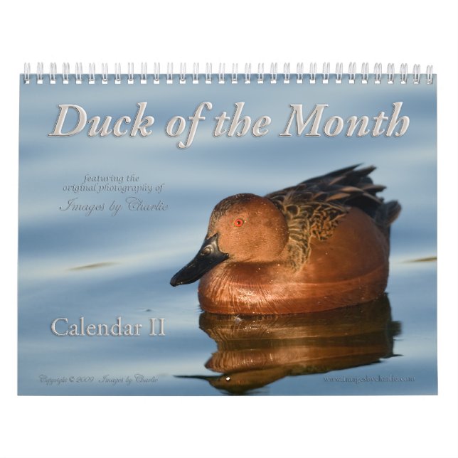 2026 Anka Photos Wall Calendar Kalender (Omslag)