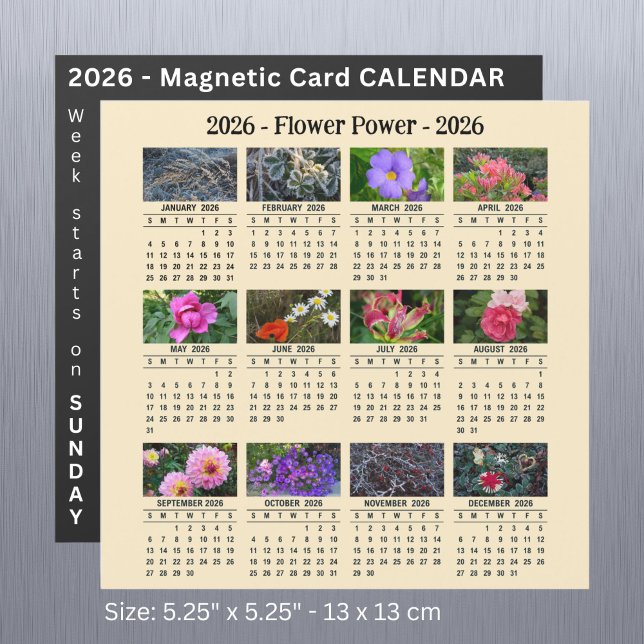 2026 Anpassningsbar Flower magnetisk aprikoskalend (Skapare uppladdad)