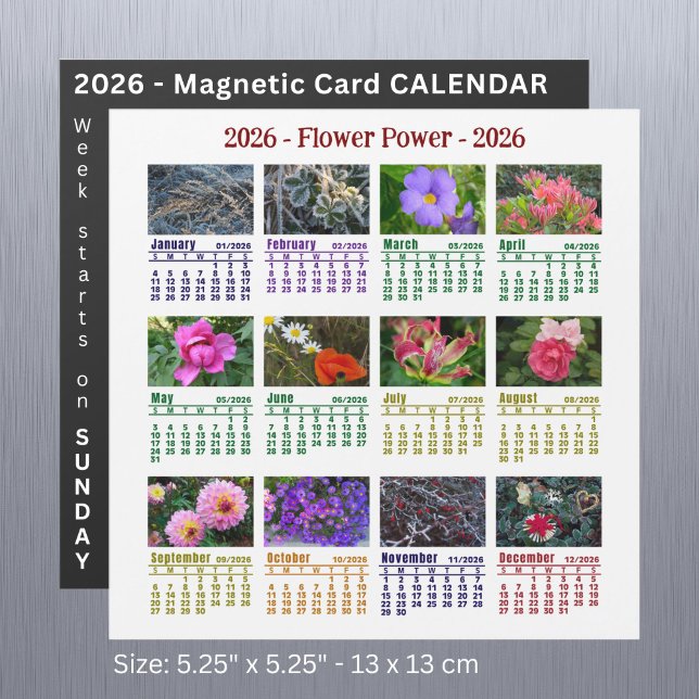 2026-Anpassningsbarnas blomningskalender startar S (Skapare uppladdad)