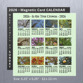 2026-Anpassningsbarnas Photo Träd Calendar Söndag