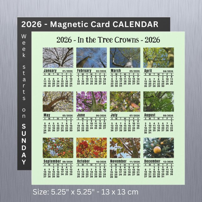2026-Anpassningsbarnas Photo Träd Calendar Söndag  (Skapare uppladdad)
