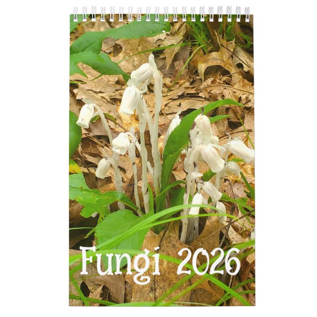 2026 års fiungi-kalender kalender (Omslag)