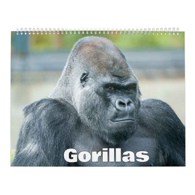 2026 års Gorilla-kalender Kalender (Omslag)